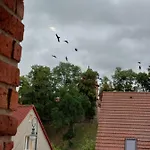 Loshouse Appartement Bytów