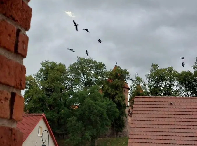 Loshouse Lägenhet Bytów